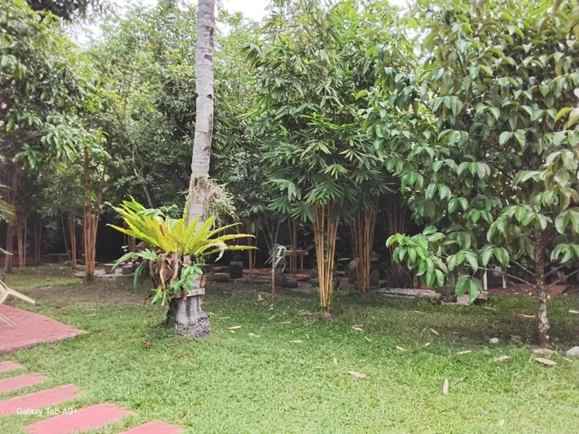 ממבג'או Camiguin Lanzones Resort מראה חיצוני תמונה