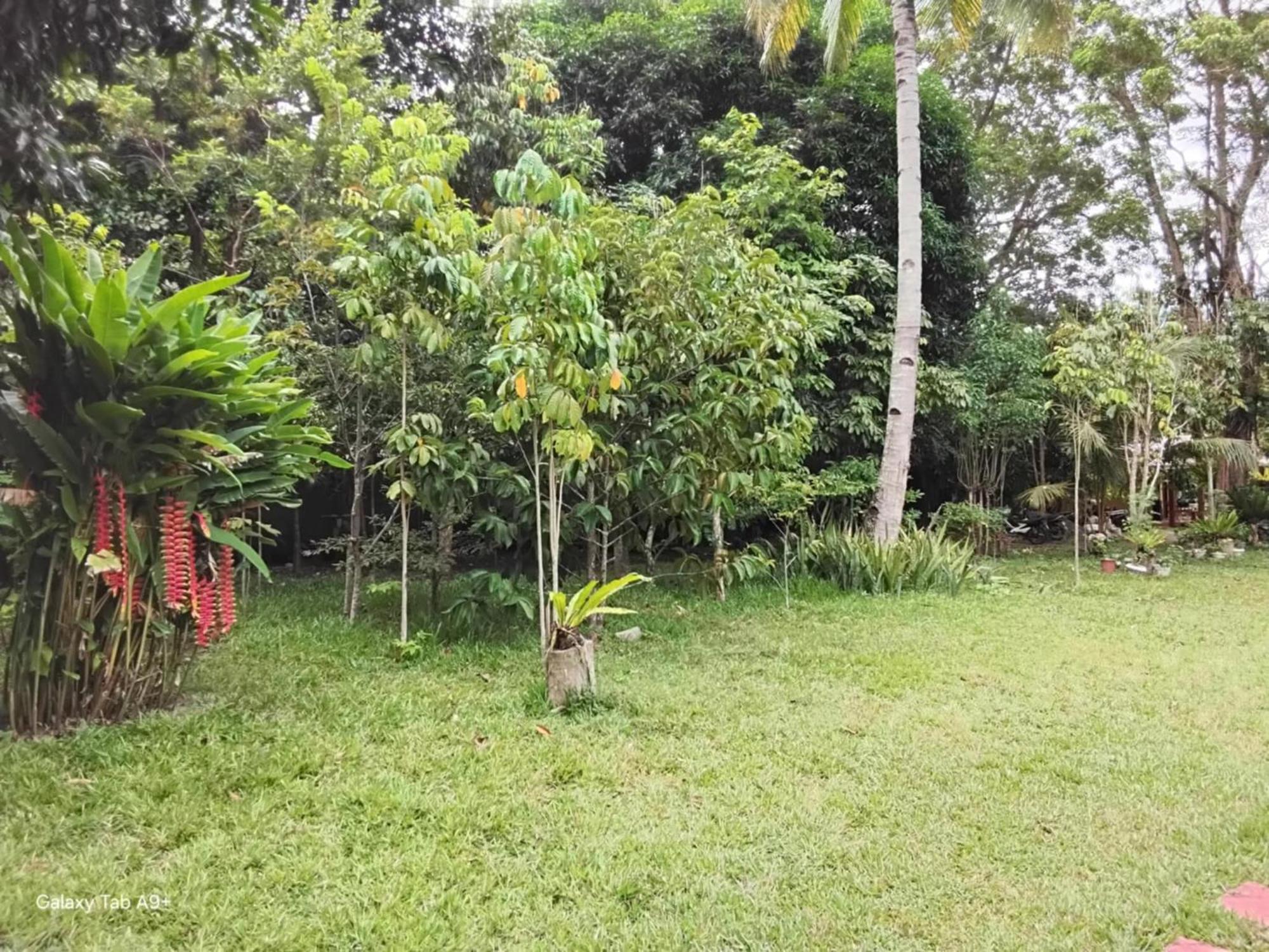 ממבג'או Camiguin Lanzones Resort מראה חיצוני תמונה