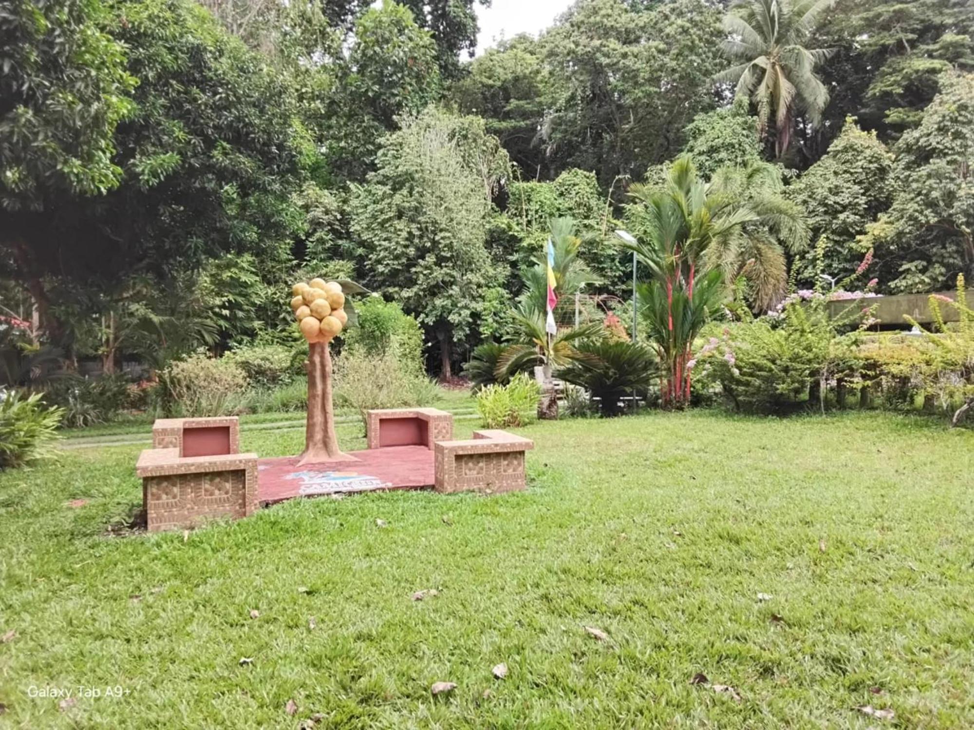 ממבג'או Camiguin Lanzones Resort מראה חיצוני תמונה