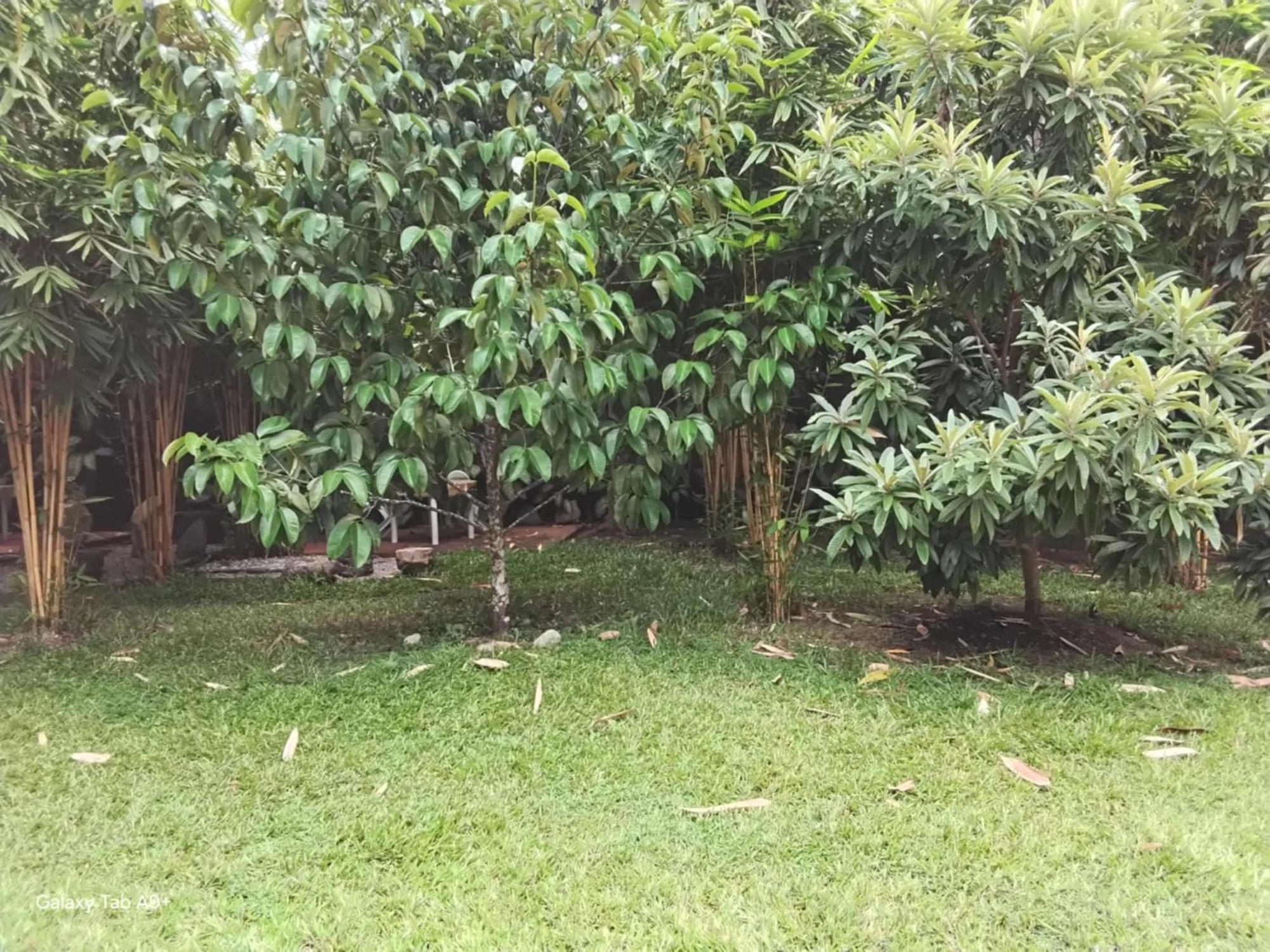 ממבג'או Camiguin Lanzones Resort מראה חיצוני תמונה
