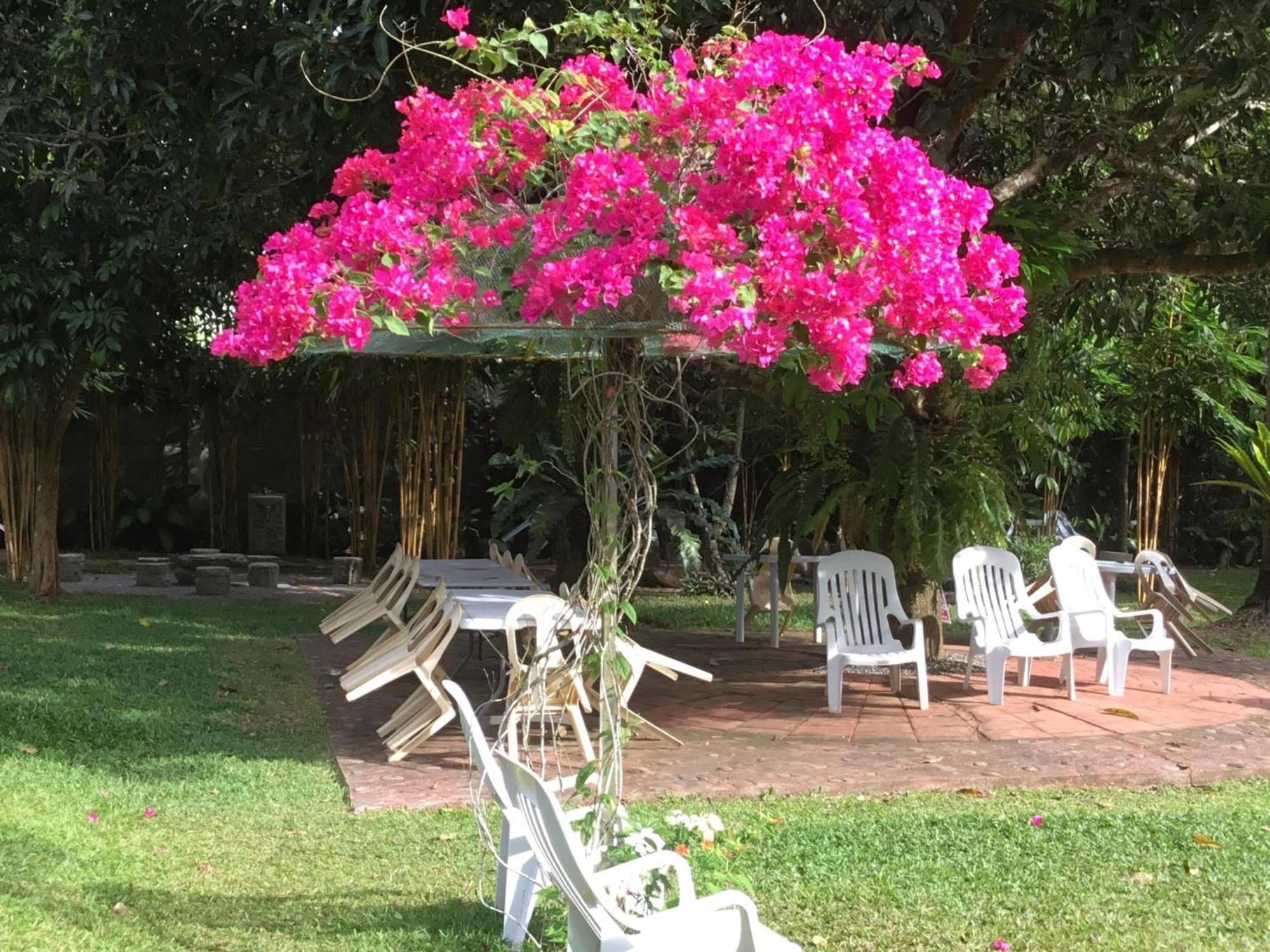ממבג'או Camiguin Lanzones Resort מראה חיצוני תמונה